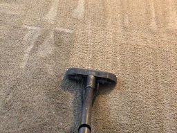 In Process Carpet Cleaning